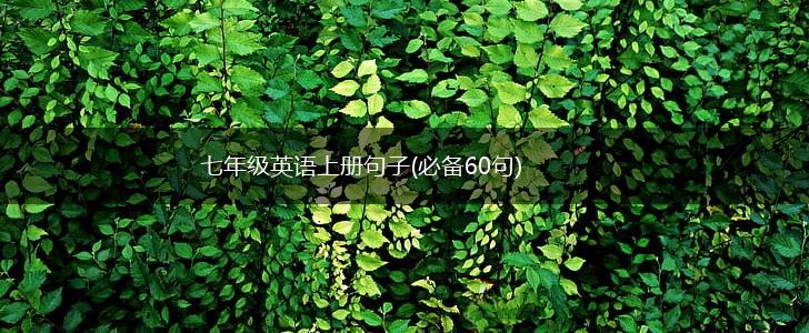 七年级英语上册句子(必备60句),第1张