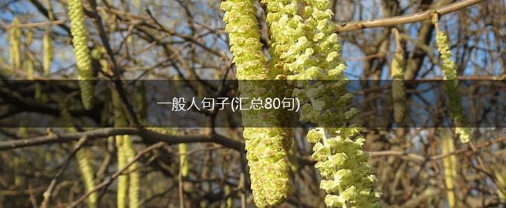 一般人句子(汇总80句),第1张