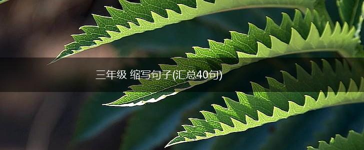 三年级 缩写句子(汇总40句),第1张