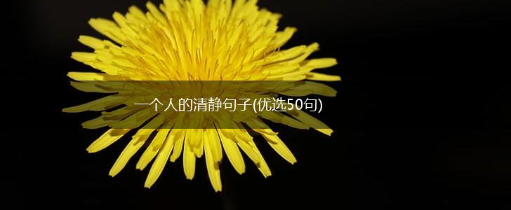 一个人的清静句子(优选50句),第1张
