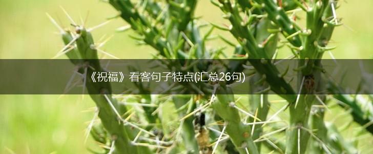 《祝福》看客句子特点(汇总26句),第1张