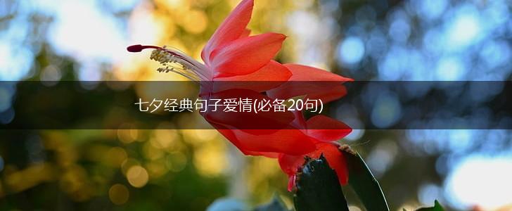 七夕经典句子爱情(必备20句),第1张