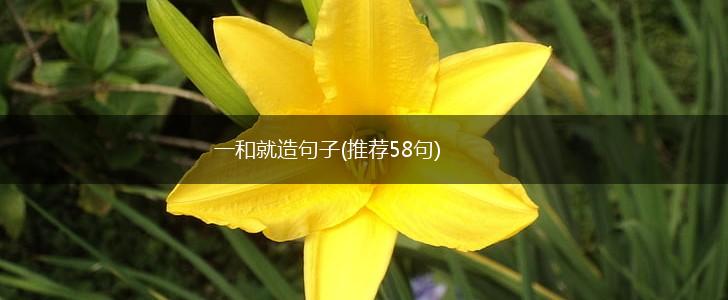 一和就造句子(推荐58句),第1张