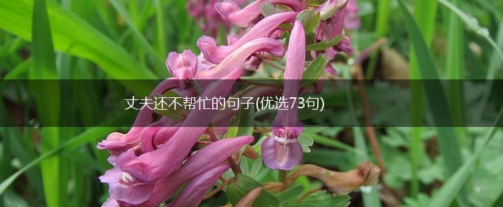 丈夫还不帮忙的句子(优选73句),第1张
