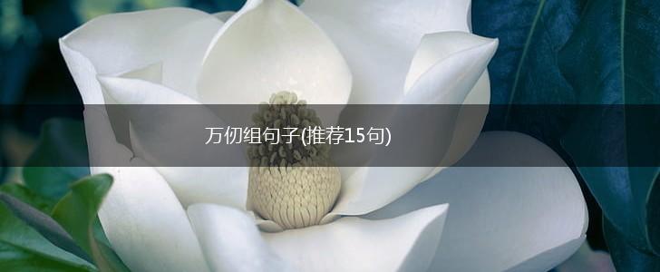 万仞组句子(推荐15句),第1张