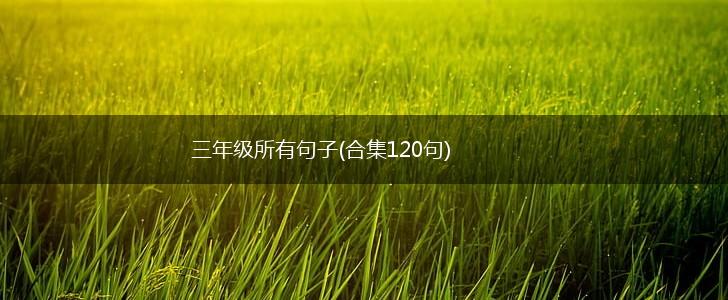 三年级所有句子(合集120句),第1张