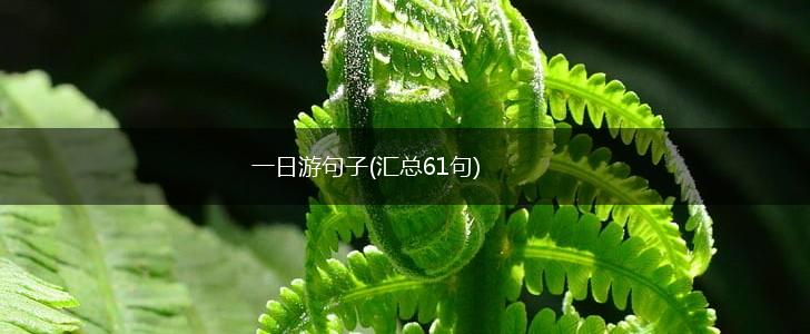 一日游句子(汇总61句),第1张