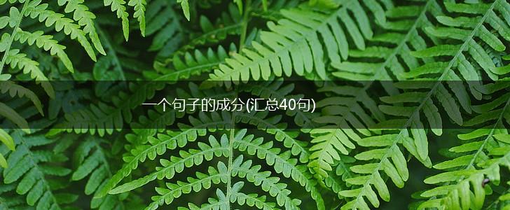 一个句子的成分(汇总40句),第1张