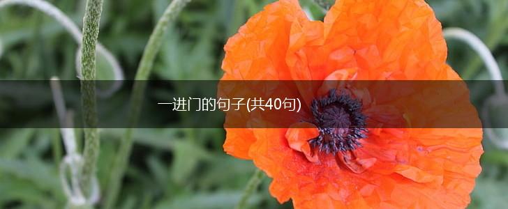 一进门的句子(共40句),第1张