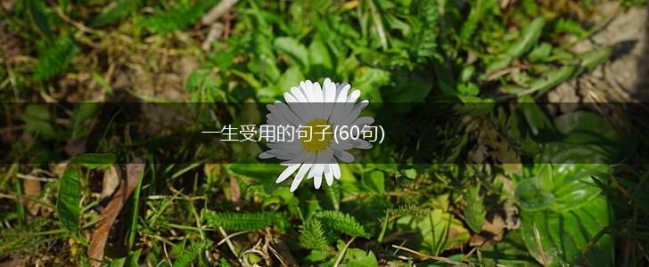 一生受用的句子(60句),第1张