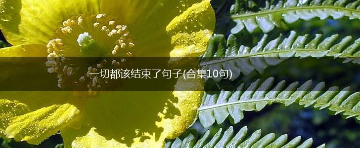 一切都该结束了句子(合集10句),第1张
