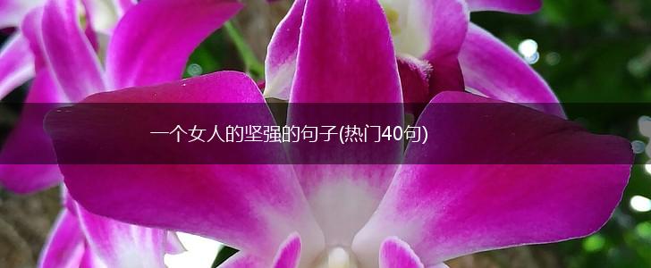 一个女人的坚强的句子(热门40句),第1张