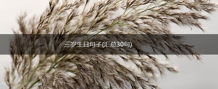 三岁生日句子(汇总30句),第1张
