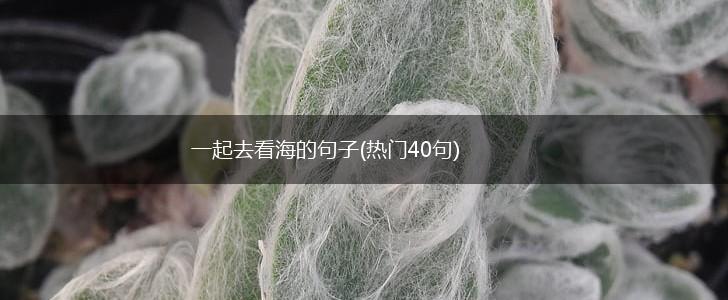 一起去看海的句子(热门40句),第1张