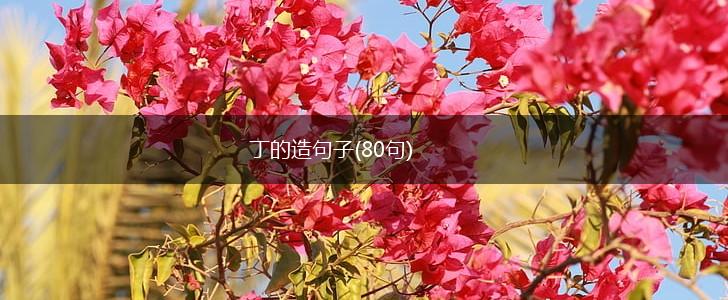 丁的造句子(80句),第1张