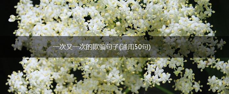 一次又一次的欺骗句子(通用50句),第1张