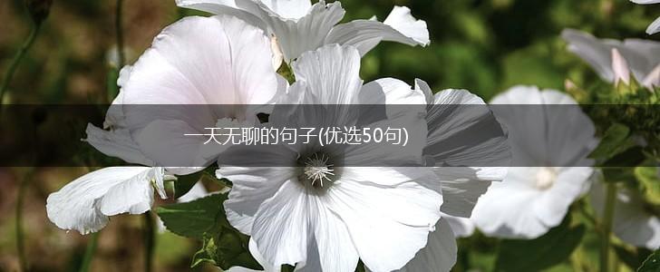 一天无聊的句子(优选50句),第1张