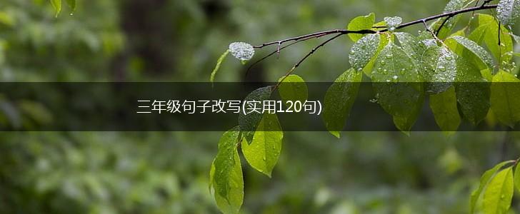 三年级句子改写(实用120句),第1张