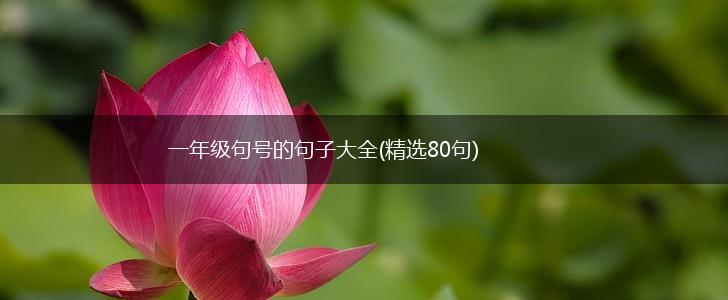 一年级句号的句子大全(精选80句),第1张