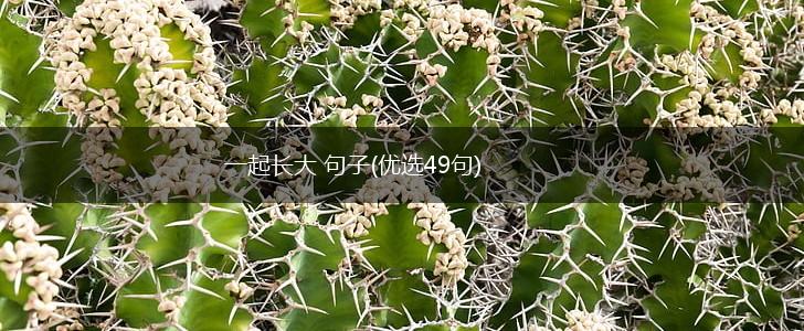 一起长大 句子(优选49句),第1张