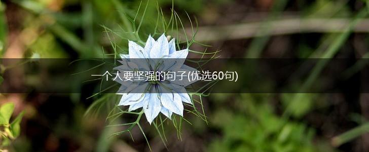 一个人要坚强的句子(优选60句),第1张