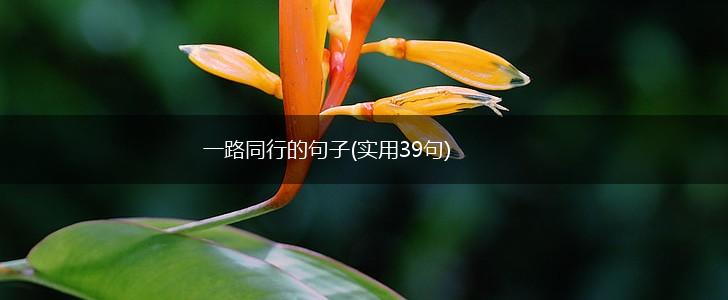 一路同行的句子(实用39句),第1张