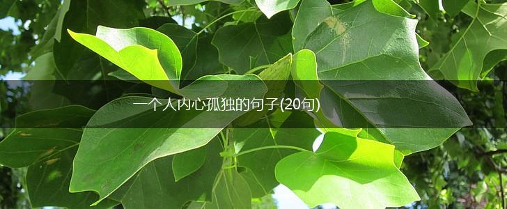 一个人内心孤独的句子(20句),第1张