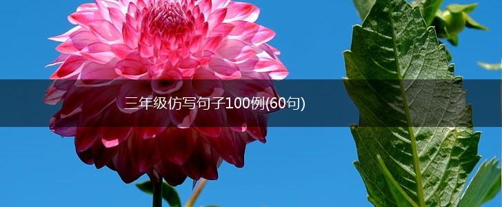 三年级仿写句子100例(60句),第1张