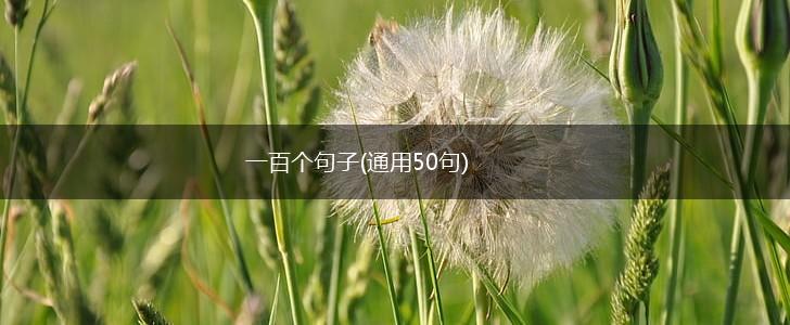 一百个句子(通用50句),第1张