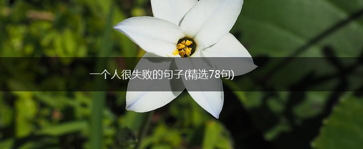 一个人很失败的句子(精选78句),第1张