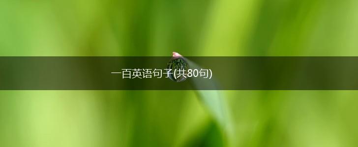 一百英语句子(共80句),第1张