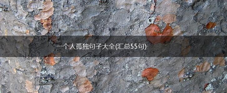 一个人孤独句子大全(汇总55句),第1张