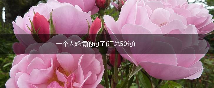 一个人感情的句子(汇总50句),第1张