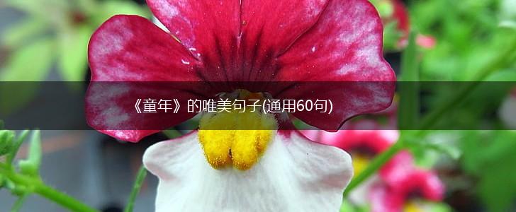《童年》的唯美句子(通用60句),第1张
