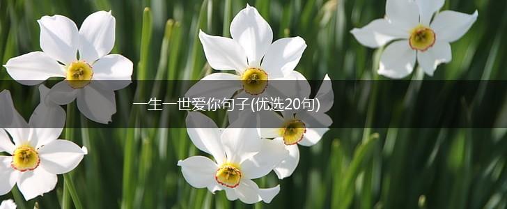 一生一世爱你句子(优选20句),第1张