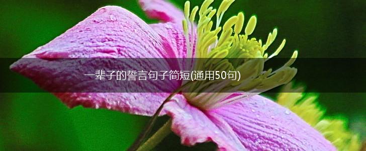一辈子的誓言句子简短(通用50句),第1张