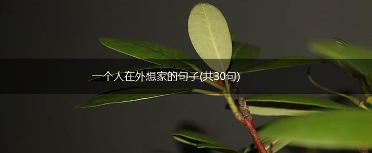 一个人在外想家的句子(共30句),第1张