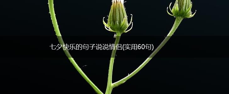 七夕快乐的句子说说情侣(实用60句),第1张