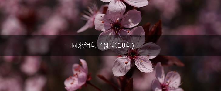 一同来组句子(汇总10句),第1张