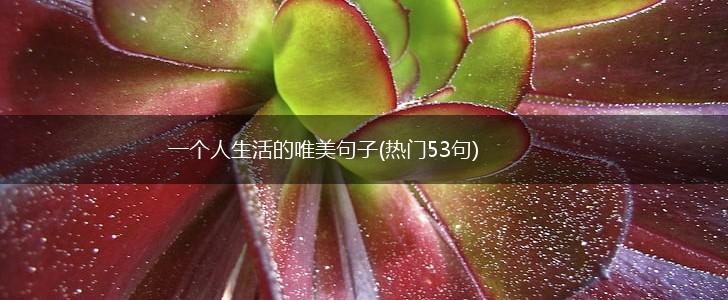 一个人生活的唯美句子(热门53句),第1张