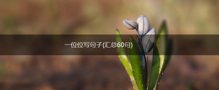 一位位写句子(汇总60句),第1张
