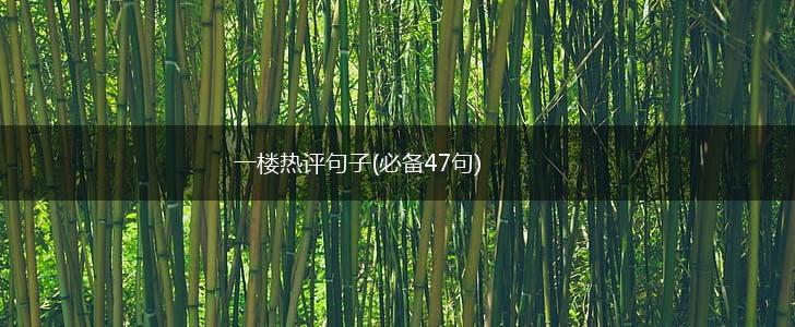 一楼热评句子(必备47句),第1张