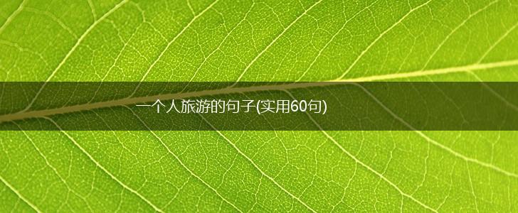 一个人旅游的句子(实用60句),第1张