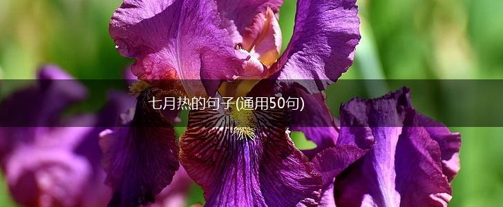 七月热的句子(通用50句),第1张