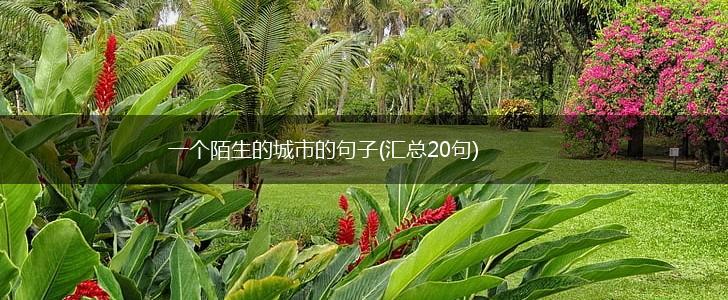 一个陌生的城市的句子(汇总20句),第1张