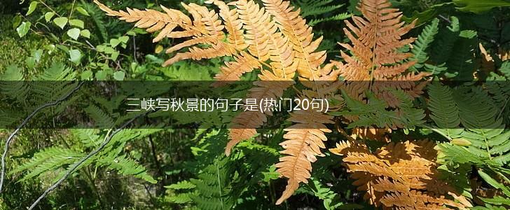 三峡写秋景的句子是(热门20句),第1张