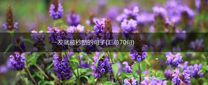 一发就被秒赞的句子(汇总70句),第1张