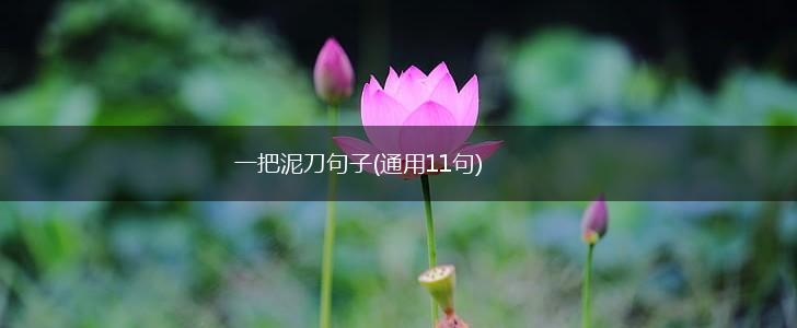 一把泥刀句子(通用11句),第1张