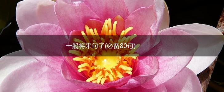 一般将来句子(必备80句),第1张