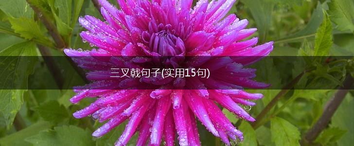 三叉戟句子(实用15句),第1张